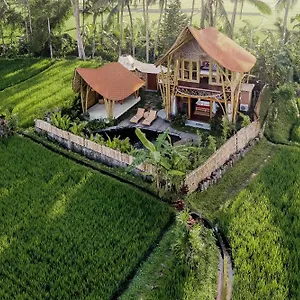 https://villa-arapan-ubud-eco.ubudhotelsnow.com